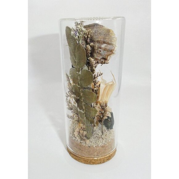 Scorpion Green Chafer Beetle Wasp Nest Bee & Crystal Oddity Jar taxidermy - Picture 8 of 16